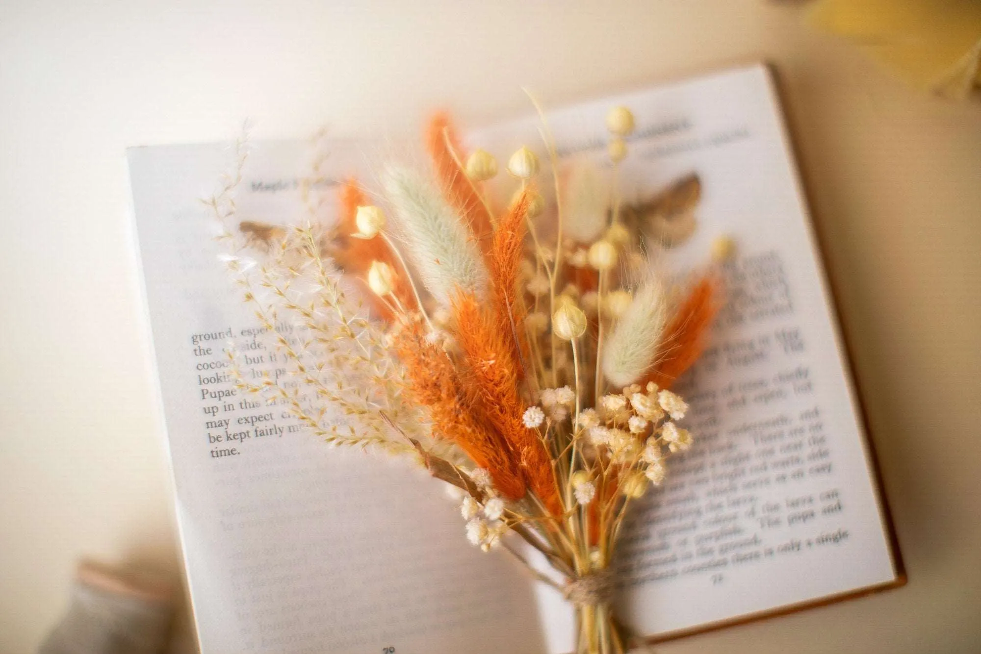 Burnt Orange Lagurus and Gypsophila Boutonnieres / Lapel Pin For Men / Groom Pin / Boho Boutonniere / Groom Boutonniere