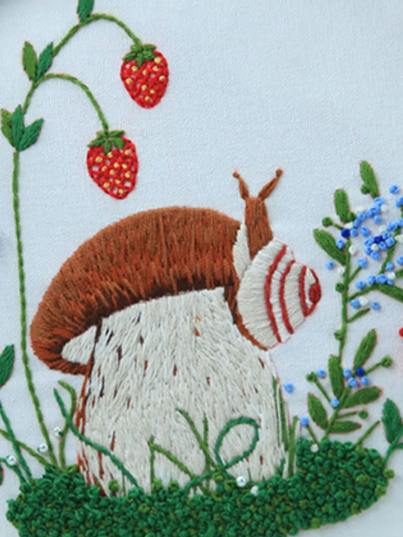 Embroidery Kit, Mushroom Fauna