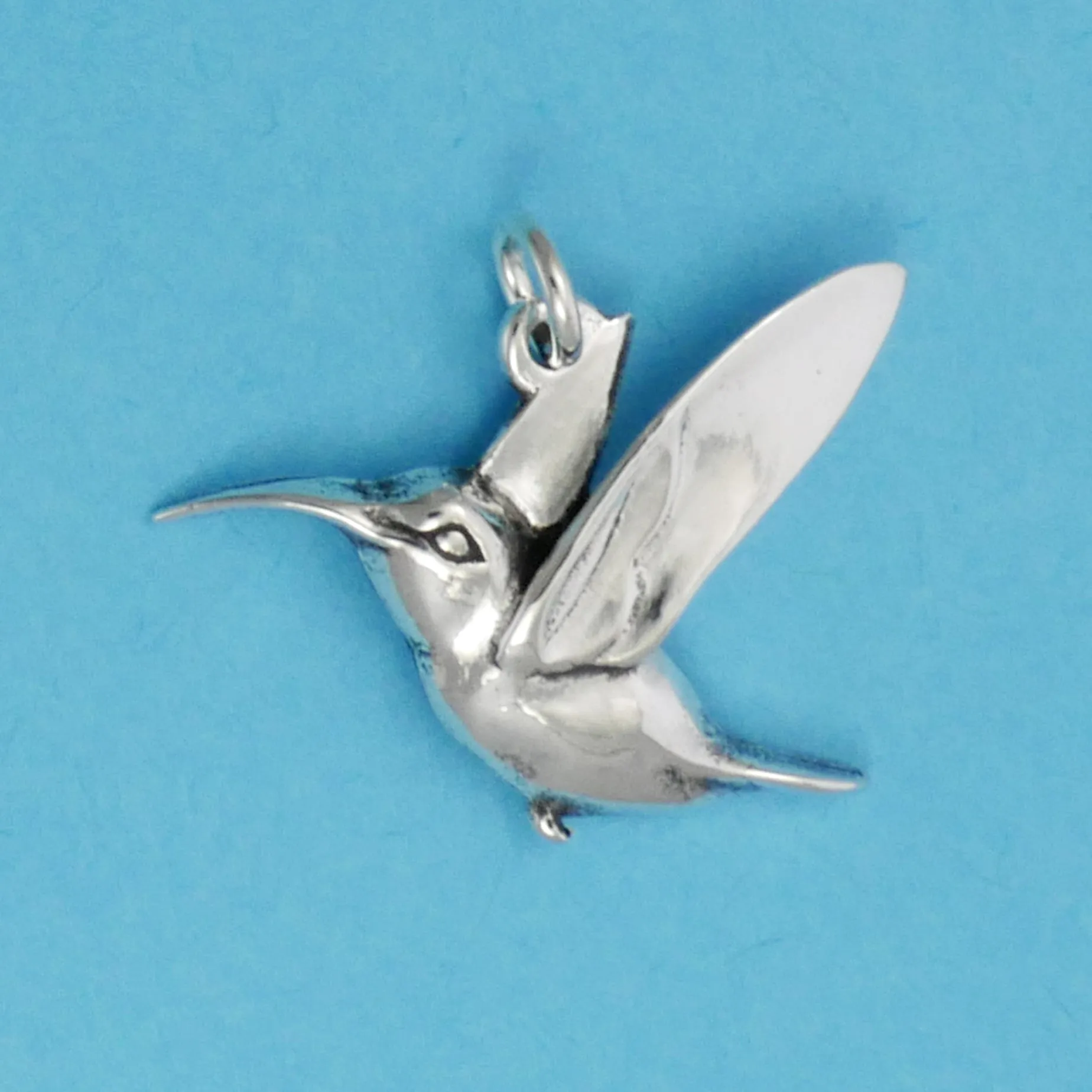 Hummingbird Charm