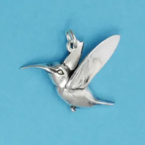 Hummingbird Charm